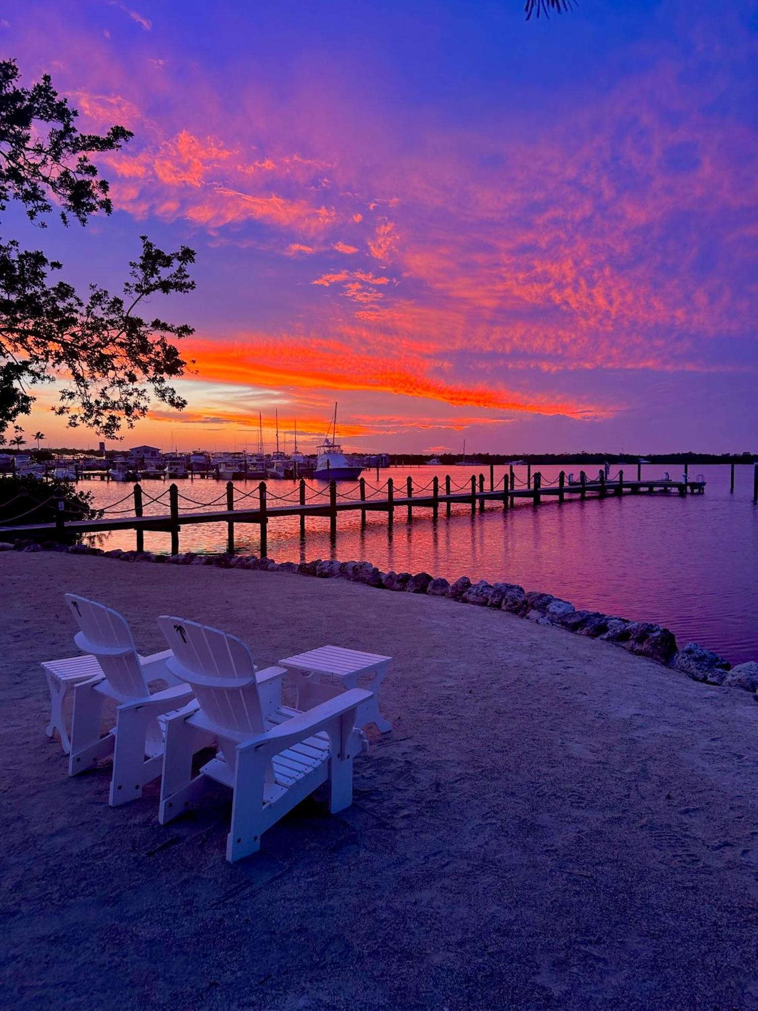 Coconut Palm Inn Tavernier ภายนอก รูปภาพ